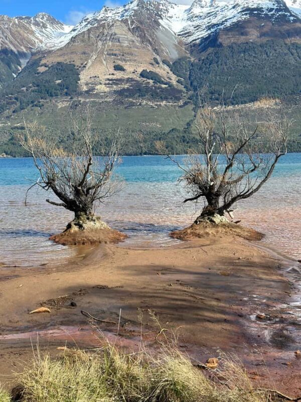 Queenstown: Glenorchy Private Tour with Hotel Pickup - An Honest Look at the Tour Experience