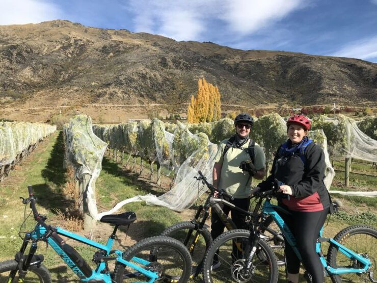 Queenstown: Guided E-Bike Tour With Winery Visits & Tastings - Activity Details
