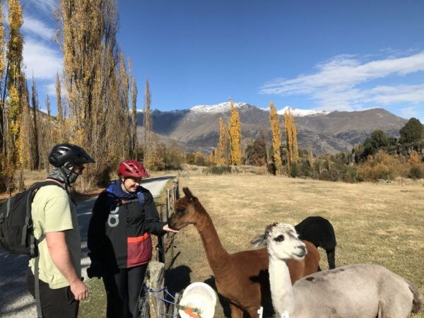 Queenstown: Guided E-Bike Tour With Winery Visits & Tastings - Directions