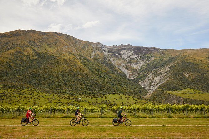 Queenstown Guided E-bike Wine Tour - Exploring the Itinerary in Detail