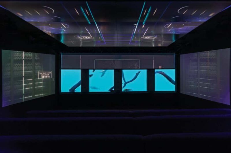 Queenstown: Hidden Underwater Theatre Experience - Good To Know