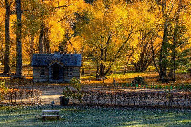 Queenstown Highlights Tour - Reviews