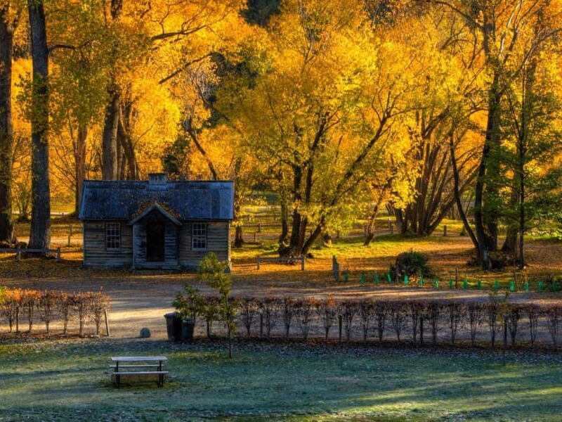 Queenstown: Highlights Tour with Wine Tasting - Arrowtown’s Charm & Heritage