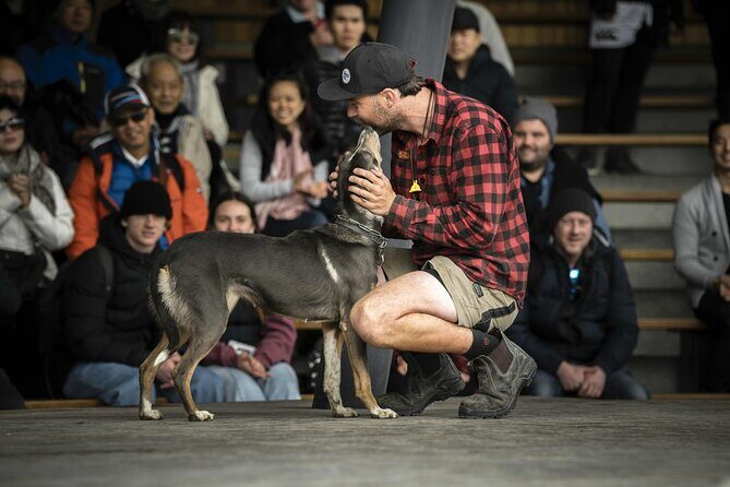 Queenstown Lake Cruise to Walter Peak Farm with BBQ Buffet - The Sum Up