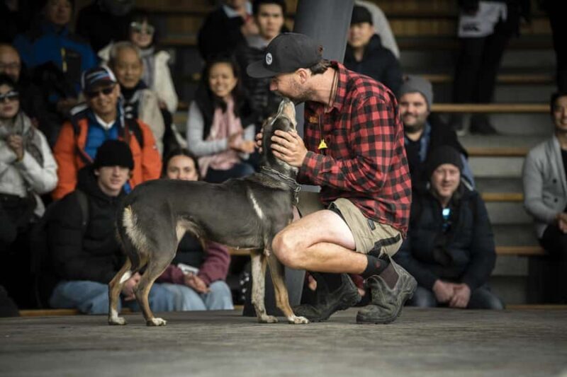 Queenstown: Lake Cruise to Walter Peak Farm with BBQ Buffet - FAQ