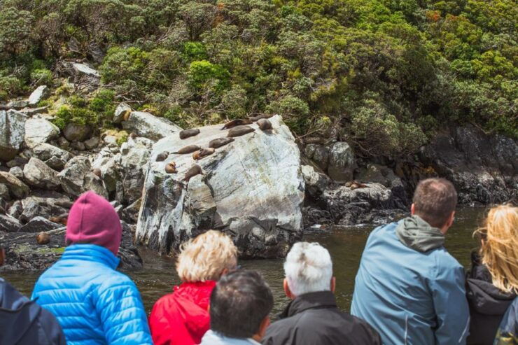 Queenstown: Milford Sound Coach & Cruise Full-Day Trip - Experiencing Milford Sound