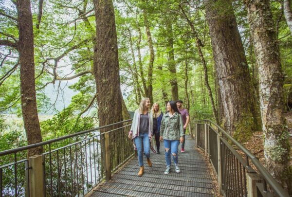 Queenstown: Milford Sound Coach & Cruise Full-Day Trip - Cancellation Policy