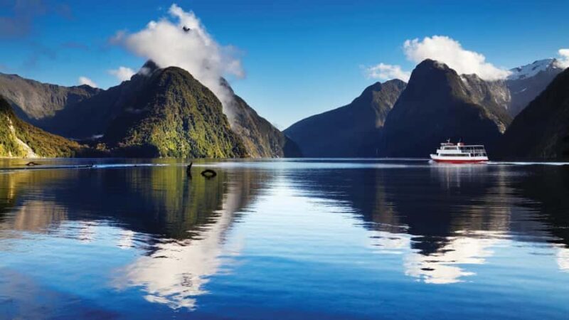 Queenstown: Milford Sound Day Trip - Cruise & Picnic Lunch - Pricing and Value