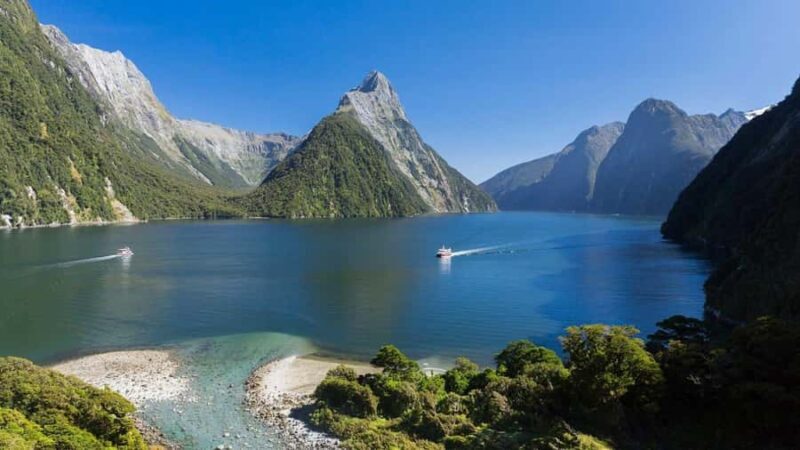 Queenstown: Milford Sound Day Trip - Cruise & Picnic Lunch - Who Should Consider This Tour?
