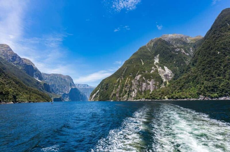 Queenstown: Milford Sound Private Tour - Why This Tour Offers Great Value  