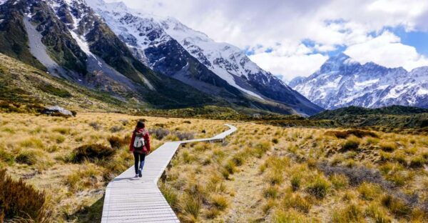 Queenstown: Mount Cook Premium Guided Day Tour - Access to Sir Edmund Hillary Centre
