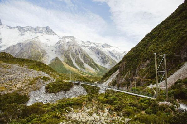 Queenstown: Mount Cook Premium Guided Day Tour - Customer Reviews and Ratings