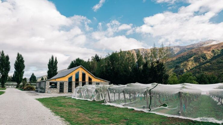 Queenstown: Premium Central Otago Wine Tasting Experience - The Ultimate Central Otago Wine Tour