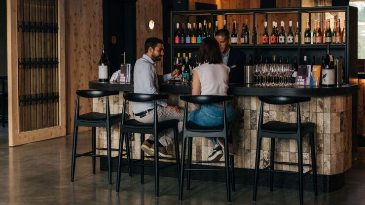Queenstown: Premium Central Otago Wine Tasting Experience - Dive Into Central Otagos Wine History