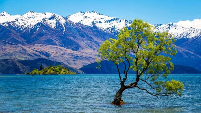 Queenstown: Private Day Trip to Wanaka, Arrowtown & More - Good To Know