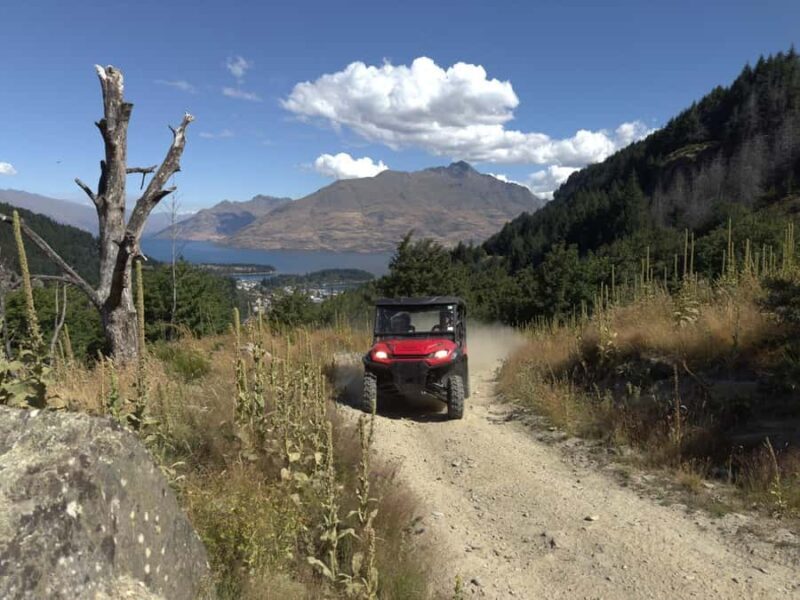 Queenstown: Ride Along Buggy Tour - Price & Value