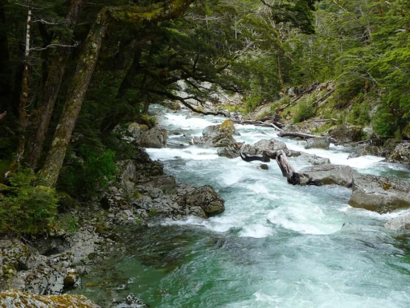 Queenstown: Routeburn Track Guided Full-Day Walk or Half Day - Good To Know