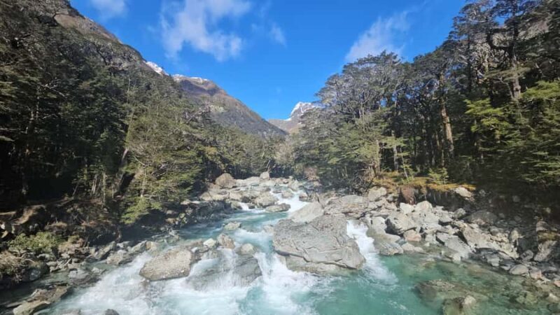 Queenstown: Routeburn Track Guided Full-Day Walk or Half Day - The Practicalities: Transportation, Group Size, and Value
