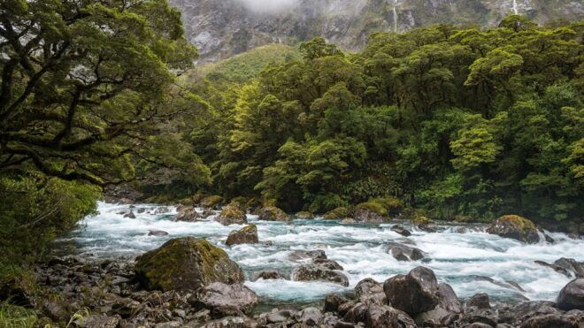 Queenstown: Small-Group Tour to Milford Sound With Cruise - Customer Reviews