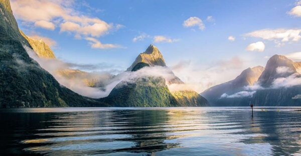Queenstown: Small-Group Tour to Milford Sound With Cruise - Trip Highlights
