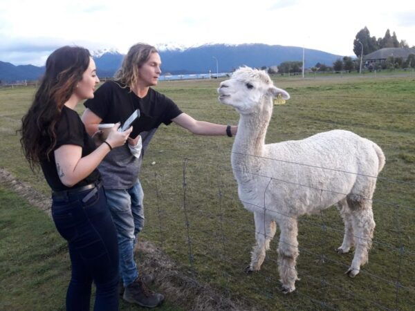 Queenstown: Small-Group Tour to Milford Sound With Cruise - Tips for a Memorable Experience