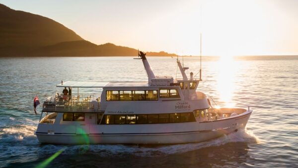 Queenstown: Small-Group Tour to Milford Sound With Cruise - Common Questions