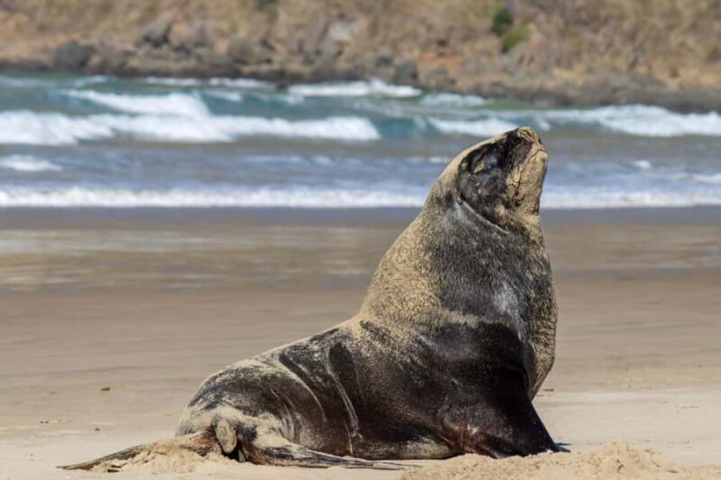 Queenstown: Southern Highlights  3 Days & 2 Nights - Good To Know