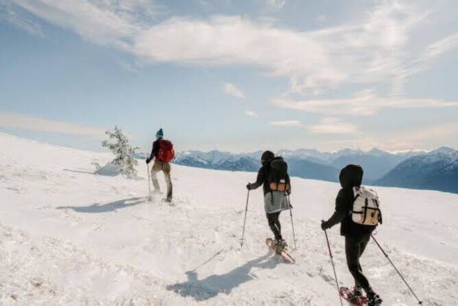 Queenstown to Cardrona Snow Farm Tour - Good To Know