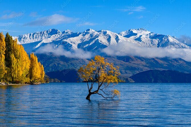 Queenstown to Christchurch via Franz Josef 2-Day Small-Group Tour - An In-Depth Look at the Itinerary