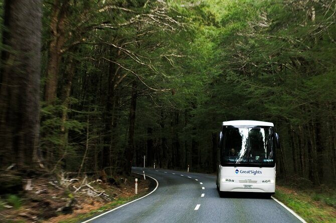 Queenstown to Franz Josef Day Tour - Who Is This Tour Best For?