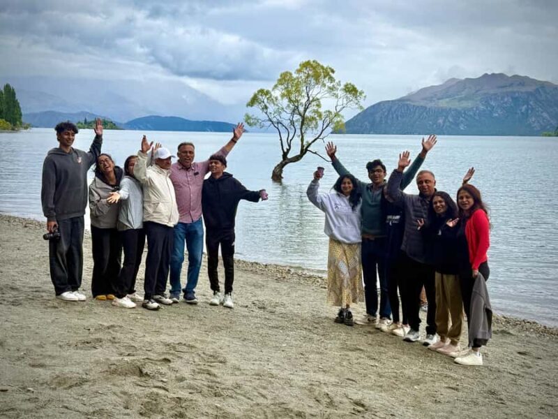 Queenstown to Franz Josef small group tour (one-way) - Transportation and Comfort