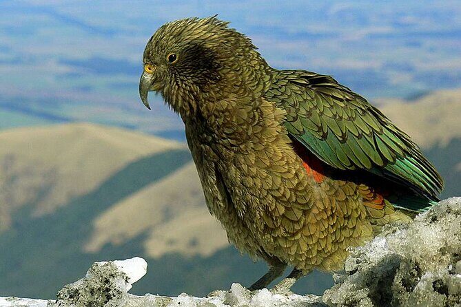 Queenstown to Lake Tekapo via Mt Cook One-Way Small Group Tour - Omarama and the Mackenzie District