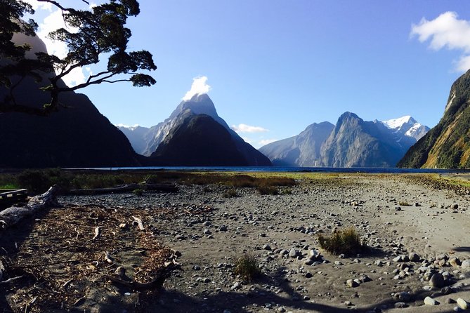 Queenstown to Milford Sound Helicopter Flight, Glacier Landing - Common Questions