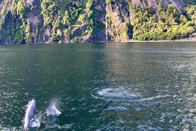 Queenstown to Te Anau via Milford Sound inc Cruise & Lunch - Darran Mountains & Kea Encounters