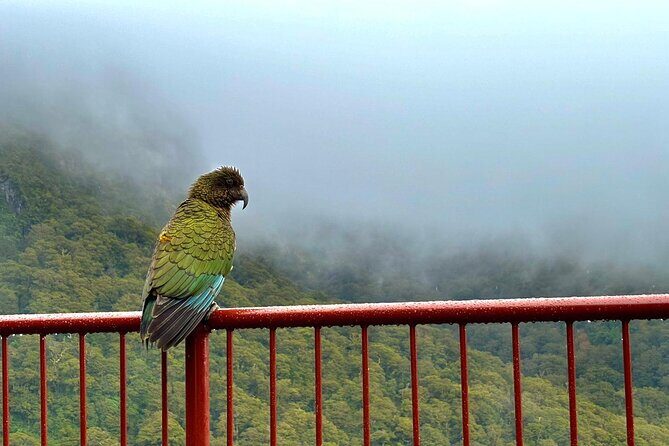 Queenstown to Te Anau via Milford Sound inc Cruise & Lunch - Homer Tunnel & Milford Sound: The Grand Finale