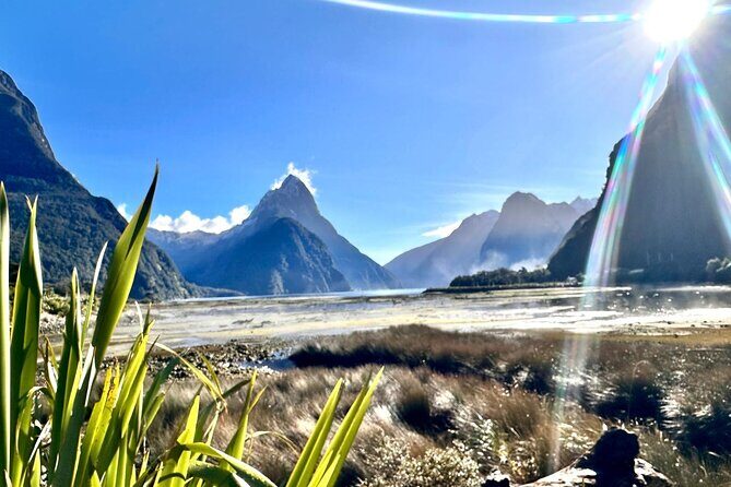 Queenstown to Te Anau via Milford Sound inc Cruise & Lunch - Pops View Lookout & Return Journey