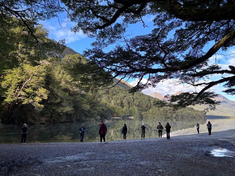 Queenstown to Te Anau via Milford Sound Small Group Tour - Fiordland by road, with a guide at the wheel