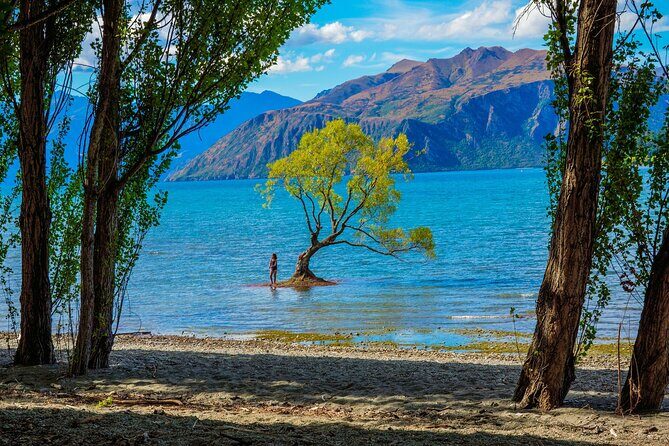 Queenstown to Wanaka Small-Group Tour (one-way) - The Practicalities: What to Expect