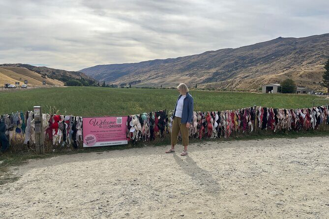 Queenstown to Wnaka: A Self-Guided Gibbston Valley Driving Tour - An Overview of the Experience