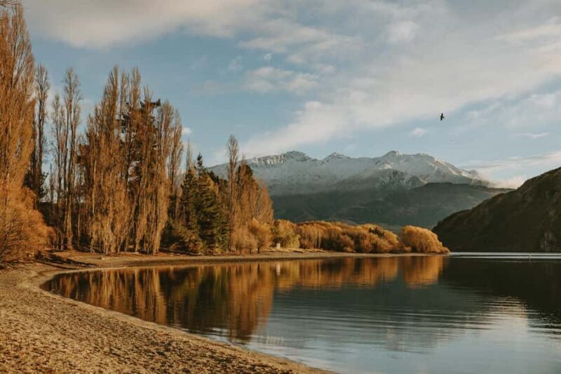Queenstown to Wnaka One Way Small Group Tour - FAQ