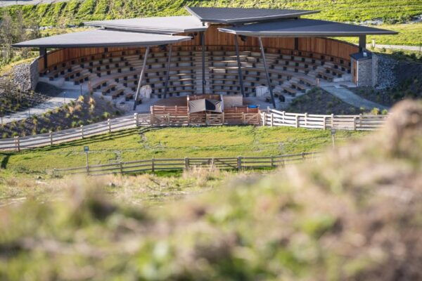 Queenstown: TSS Earnslaw Cruise and Walter Peak Farm Tour - Common Questions