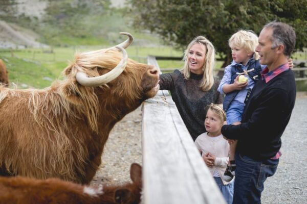 Queenstown: TSS Earnslaw Cruise and Walter Peak Farm Tour - The Sum Up