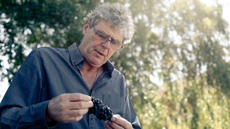 Queenstown: Valli Wine Tasting Experience - Wine Experience