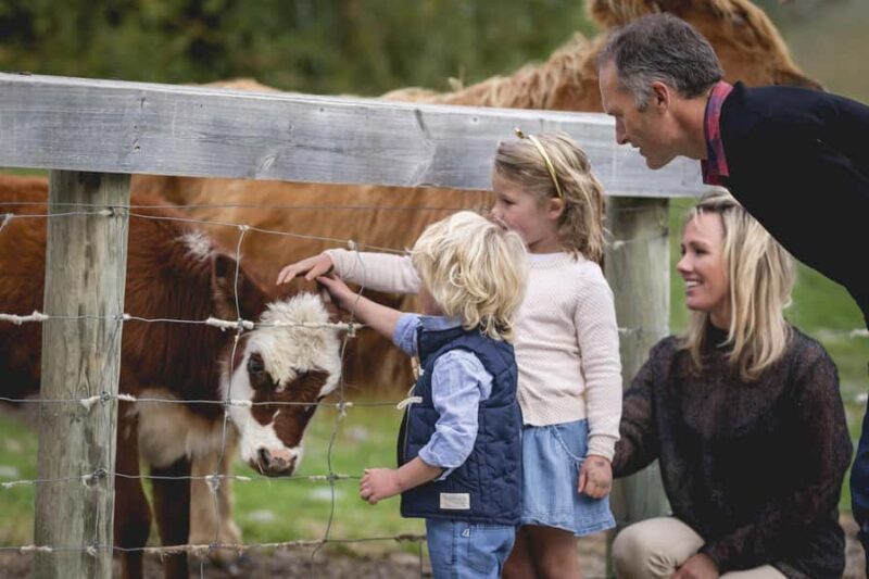 Queenstown: Walter Peak Farm Tour and Lake Cruise - Queenstown: Walter Peak Farm Tour and Lake Cruise