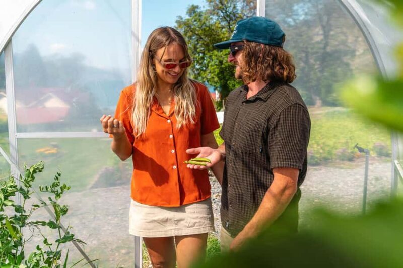 Queenstown: Walter Peak Garden to Table Experience - The Experience in Detail