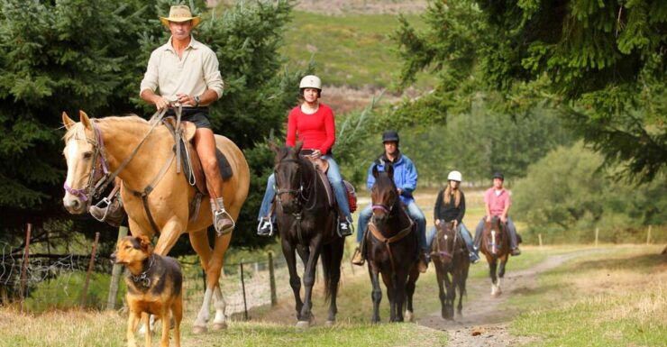 Queenstown: Walter Peak Horse Trek & TSS Earnslaw Cruise - Activity Details