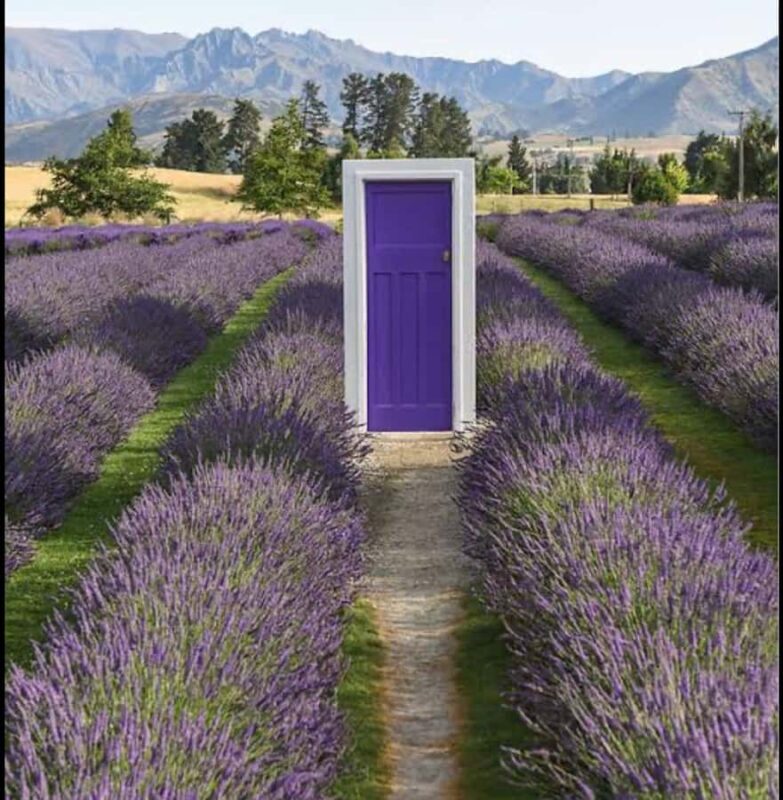 Queenstown: Wanaka & Arrowtown Guided Private Day Tour - Good To Know