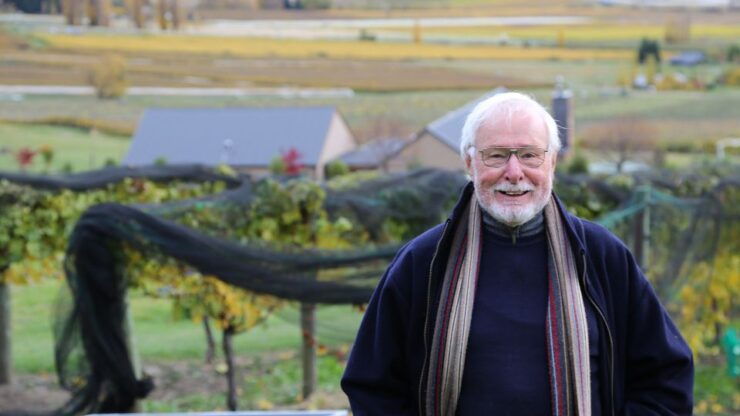 Queenstown: Wild Irishman Wine Tasting Experience - Activity Details