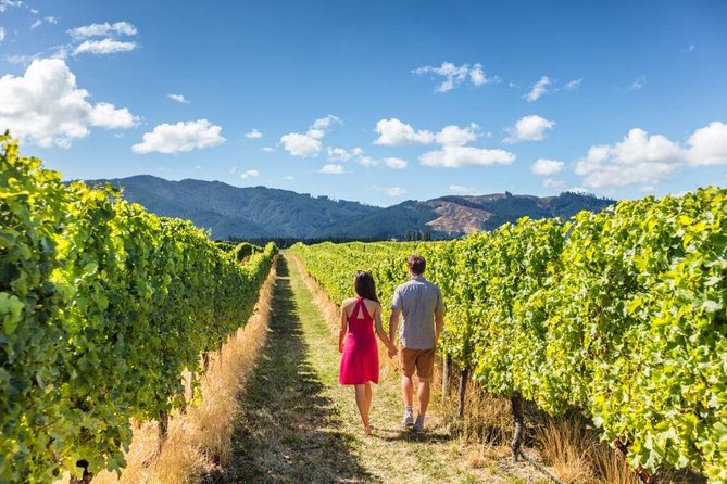 Queenstown Wine and Cardrona Distillery (Private Tour) - Pricing Details