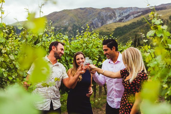 Queenstown Wine Sampler Tour - Reviews and Highlights